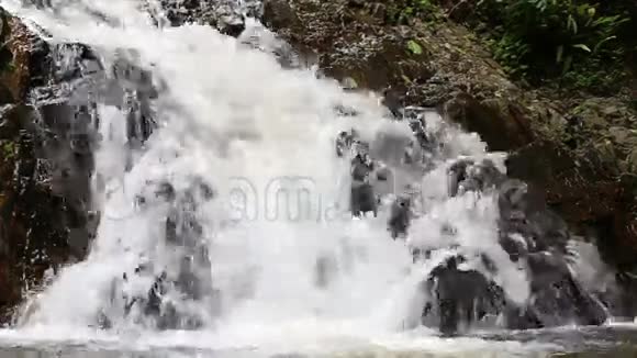 热带丛林中的瀑布视频的预览图