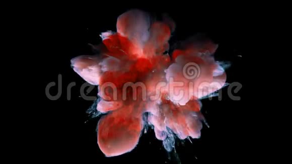 橙色爆炸五颜六色的烟雾粉末爆炸液体墨水颗粒阿尔法视频的预览图