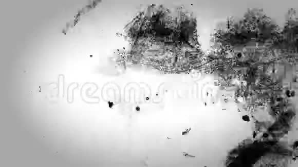 黑色和白色的粗糙复古电影纹理视频的预览图