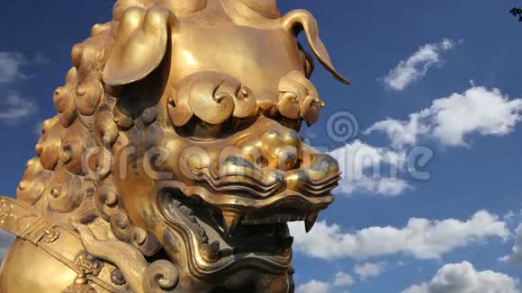 紫禁城的中国龙铜像中国北京视频的预览图