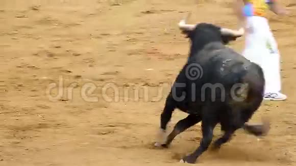 强大的西班牙公牛斗牛场视频的预览图