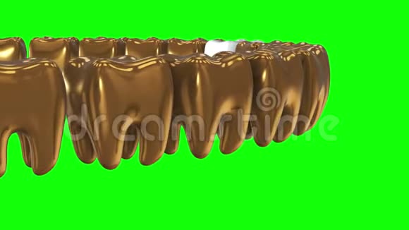白牙一排的金牙3D视频的预览图