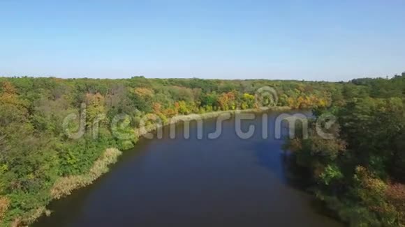 秋天森林中河流的鸟瞰图视频的预览图