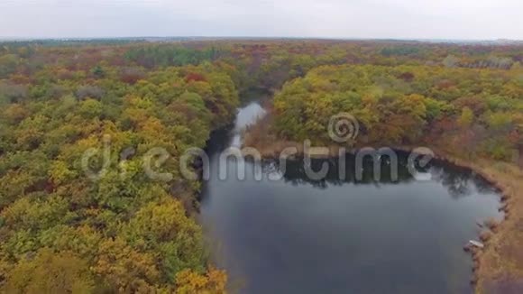 秋天森林中河流的鸟瞰图视频的预览图
