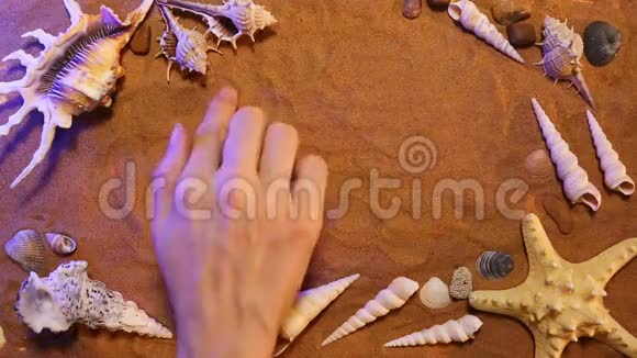 手绘海象在沙中海滩背景顶部视图视频的预览图