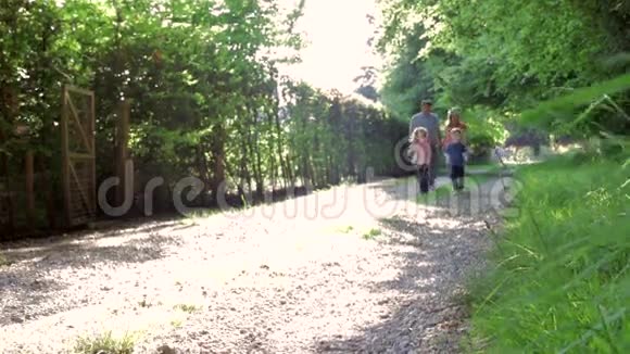 家庭漫步在夏日乡村视频的预览图