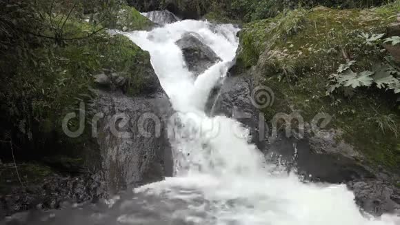 瀑布瀑布大自然视频的预览图