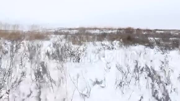 干草田冬天自然雪冬天风景视频的预览图