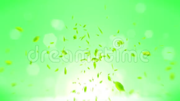 新鲜的绿叶落在绿色的背景上CG叶纸屑循环动画视频的预览图