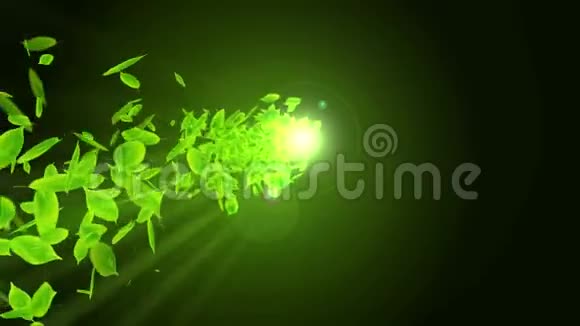 落叶的旋转绿色夏叶背景树叶纸屑CG循环动画视频的预览图