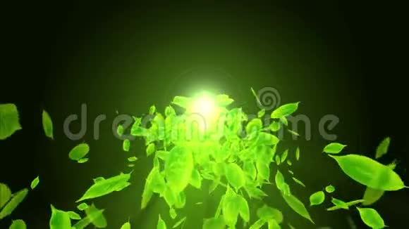 落叶的旋转绿色夏叶背景树叶纸屑CG循环动画视频的预览图