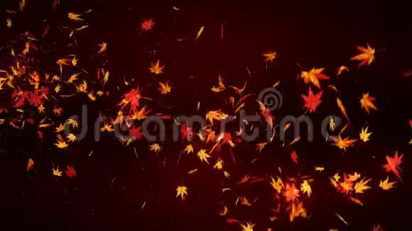秋天的树叶飘落秋天的树叶纸屑CG枫树循环动画美丽的秋红色背景视频的预览图