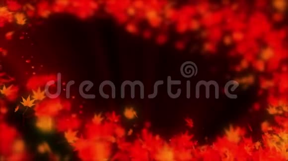 秋天的叶子旋转秋天的树叶背景CG枫树循环动画日本文化抽象背景视频的预览图