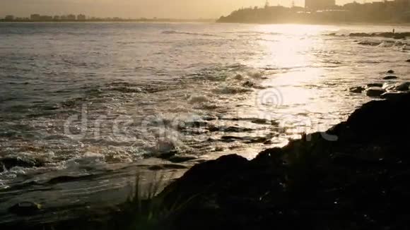 岩石和波浪在国王海滩QLD视频的预览图