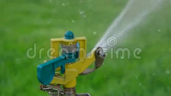 园林灌溉采用喷淋系统视频的预览图