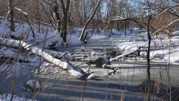 林溪流在冬季森林自然景观雪视频的预览图