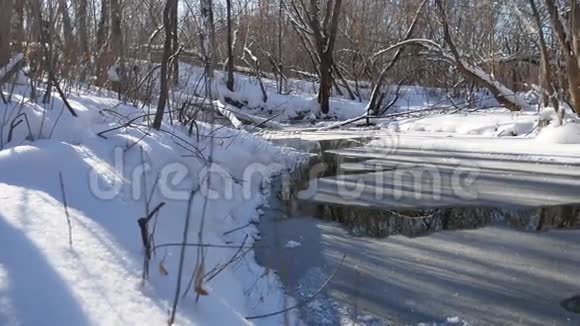 森林景观溪流流淌在冬季森林自然雪中视频的预览图