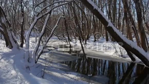 冬季森林自然雪中的林流景观视频的预览图