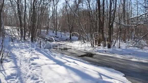 山水林流冬林自然雪视频的预览图