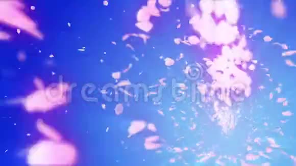 樱花的螺旋状闪亮颗粒樱花图案日本樱桃舞粉红色花瓣的旋涡抽象循环动画视频的预览图