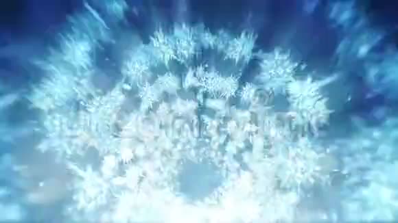 新宁冬天象征着美丽的雪花旋转雪的漩涡冬季模式美丽的雪花飞舞循环动画视频的预览图