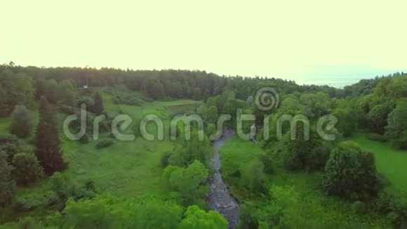 原始景观夏季景观森林田野和河流视频的预览图