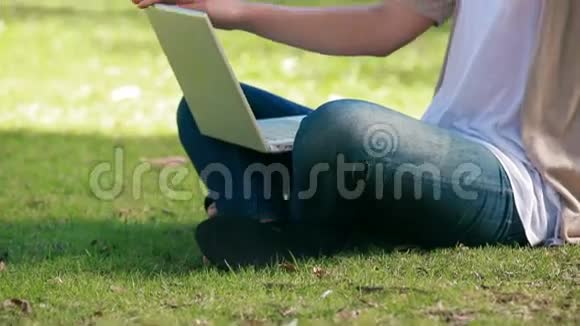 坐在草地上的女人用笔记本电脑视频的预览图