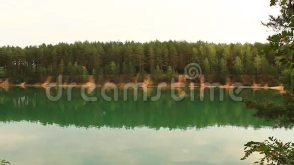 森林里的湖光山色视频的预览图