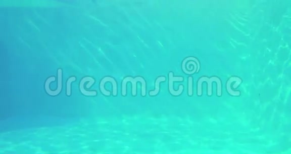 快乐的人潜入游泳池视频的预览图