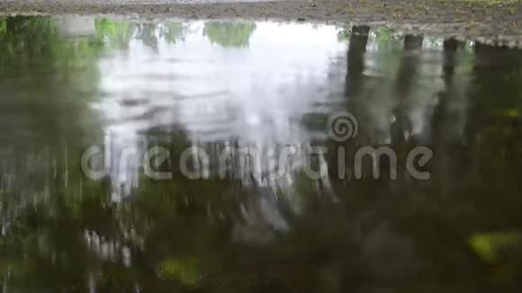 水坑水雨滴视频的预览图