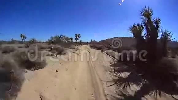 加州沙漠大道乔舒亚树公园视频的预览图