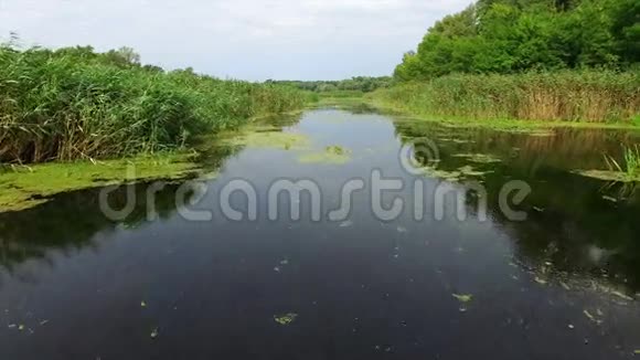 空中飞行有河流和树木的景观视频的预览图