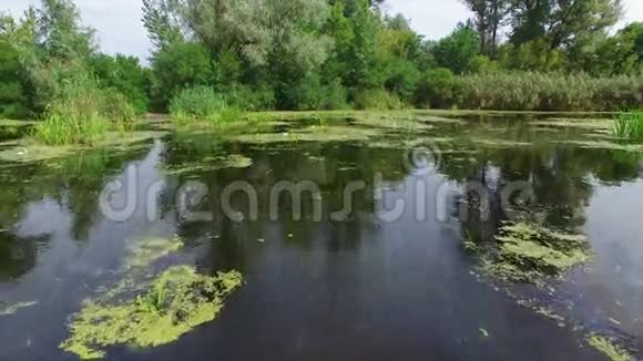 空中飞行有河流和树木的景观视频的预览图