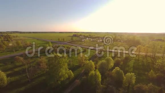 绿色夏日公园日落低空飞行空中镜头视频的预览图