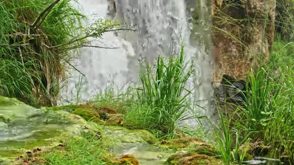克罗地亚普利特维国家公园的瀑布视频的预览图