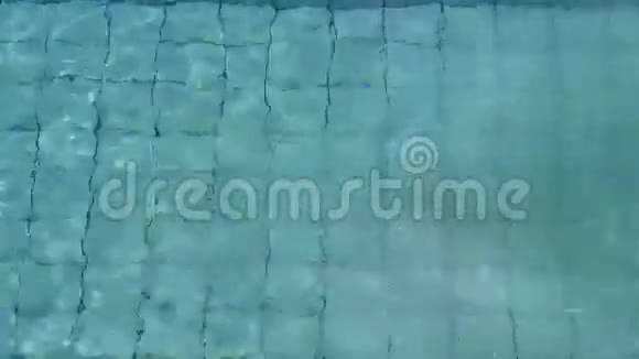 适合游泳者在游泳池前泳视频的预览图