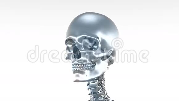骨架视频的预览图