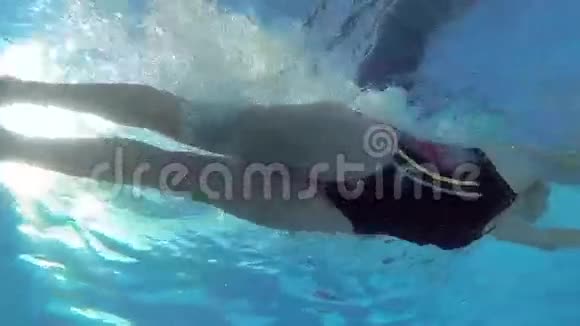 运动员在游泳池游泳视频的预览图