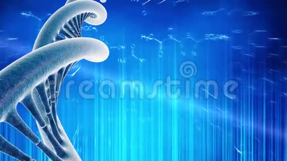 人类DNA的循环旋转视频的预览图