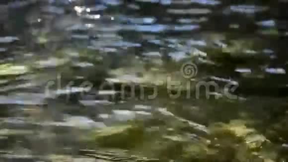 纯净的水山运行视频的预览图