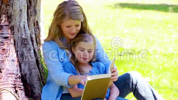 女人和女儿一起读书视频的预览图