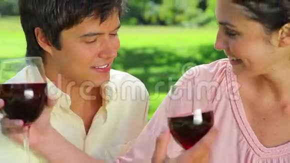 幸福的夫妻喝红酒视频的预览图