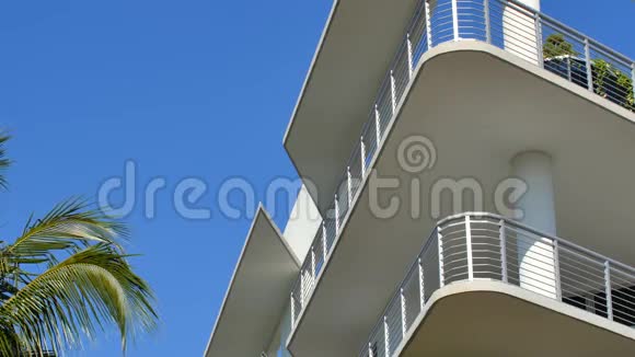 迈阿密的建筑和棕榈树视频的预览图