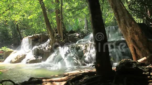 深林瀑布美丽视频的预览图