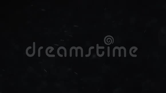 尘埃云孤立的黑色背景气泡视频的预览图