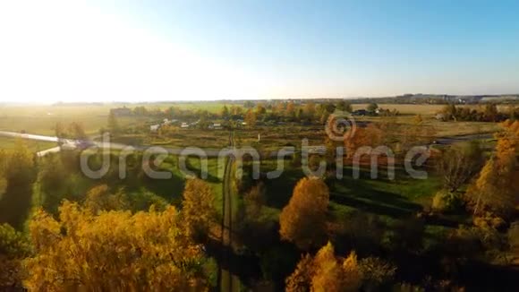 秋天的树空中镜头视频的预览图