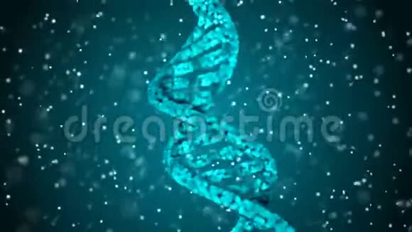 DNA密码飞了进来摘要三维多角形线架DNADNA代码摘要三维多角形线架DNA循环动画视频的预览图