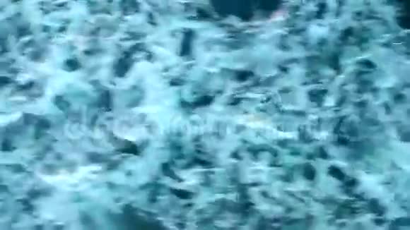 海浪拍打着海面视频的预览图
