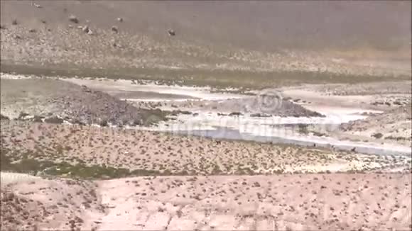 智利阿塔卡马沙漠的湖泊和山脉景观视频的预览图