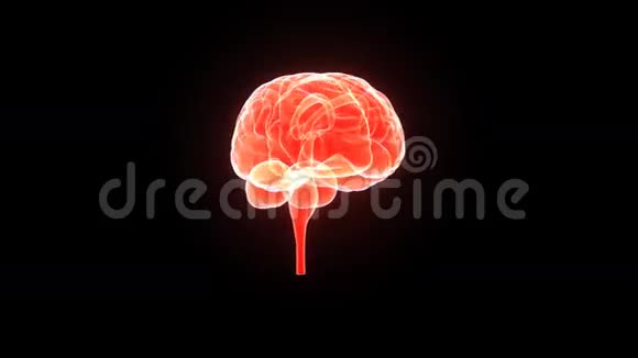 人脑视频的预览图
